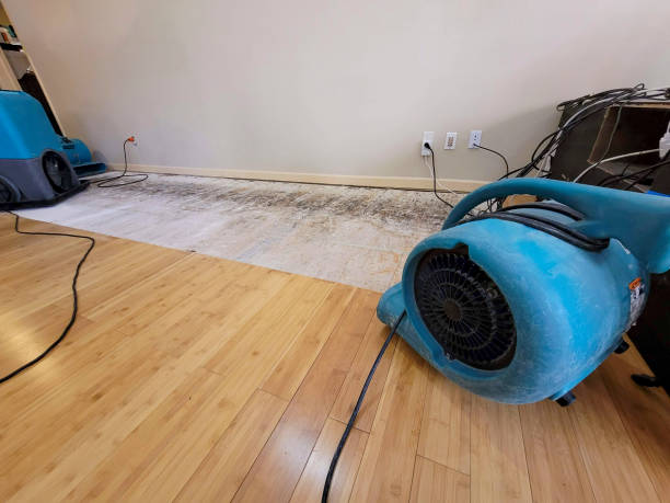 Professional Burst Pipe Water Damage technician working in Gerlach, NV